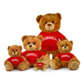 Cornell Jersey Bear  