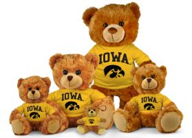 Iowa Jersey Bear  