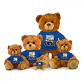 Tennessee State Jersey Bear  