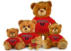 Wesleyan Jersey Bear  