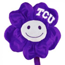 TCU Happy Flower 20in