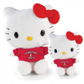 Youngstown State Hello Kitty  