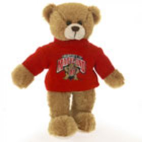 Maryland Sweater Bear 8in