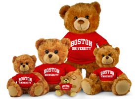 Boston University Jersey Bear  