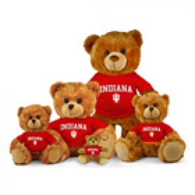 Indiana Jersey Bear  