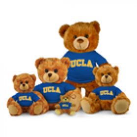 UCLA Jersey Bear  